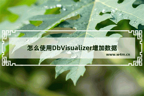 怎么使用DbVisualizer增加数据库表