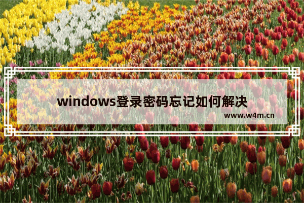 windows登录密码忘记如何解决