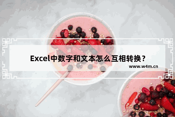 Excel中数字和文本怎么互相转换？