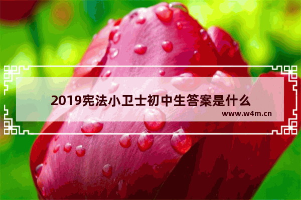 2019宪法小卫士初中生答案是什么