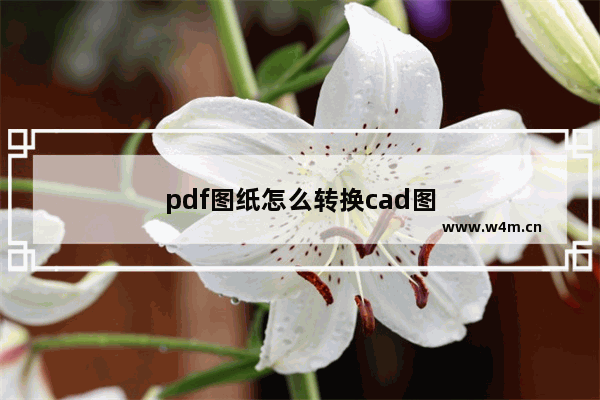 pdf图纸怎么转换cad图