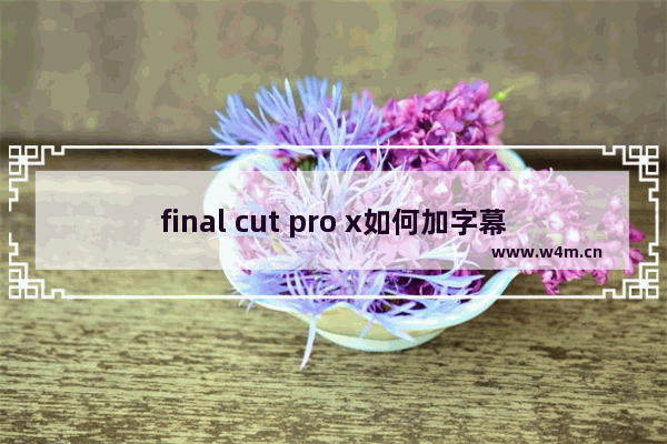 final cut pro x如何加字幕？