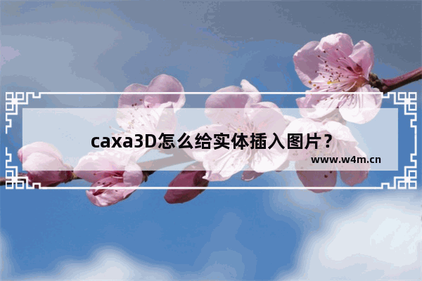 caxa3D怎么给实体插入图片？