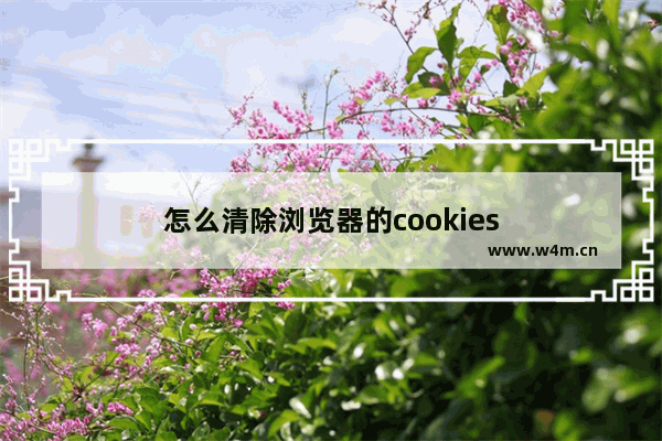 怎么清除浏览器的cookies