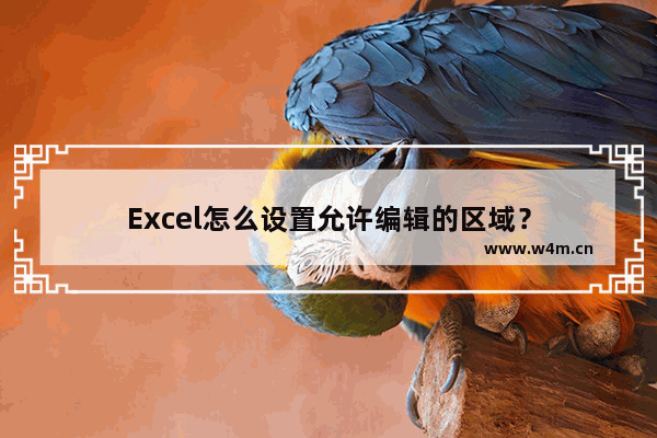 Excel怎么设置允许编辑的区域？