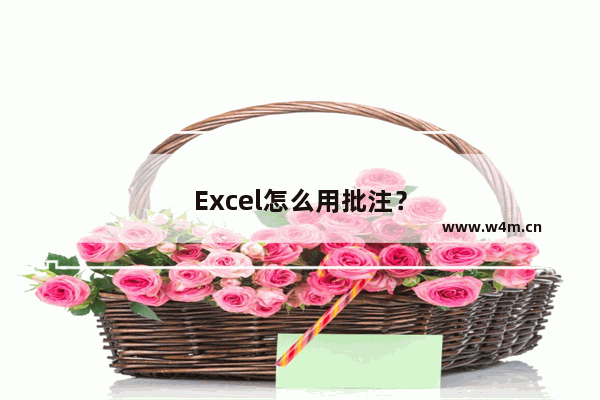 Excel怎么用批注？