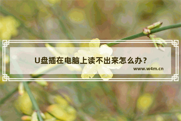 U盘插在电脑上读不出来怎么办？