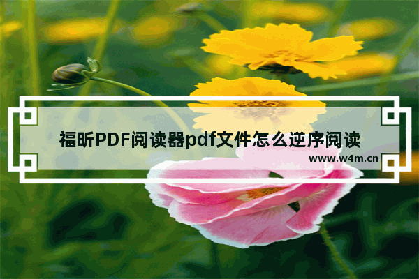 福昕PDF阅读器pdf文件怎么逆序阅读