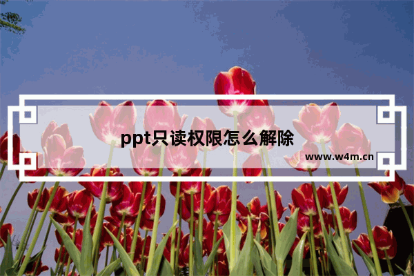 ppt只读权限怎么解除