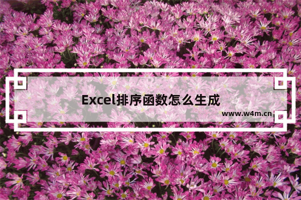 Excel排序函数怎么生成