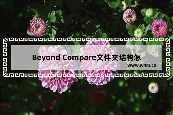 Beyond Compare文件夹结构怎么复制