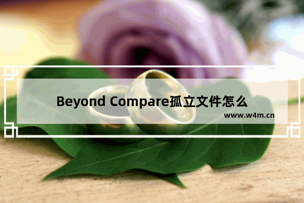 Beyond Compare孤立文件怎么导出