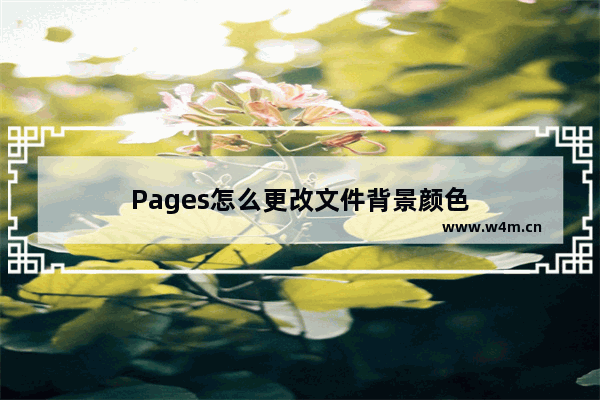 Pages怎么更改文件背景颜色