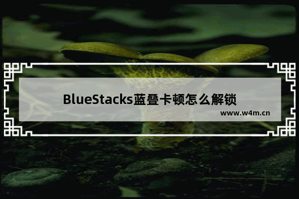 BlueStacks蓝叠卡顿怎么解锁