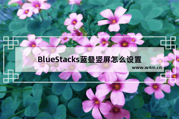 BlueStacks蓝叠竖屏怎么设置