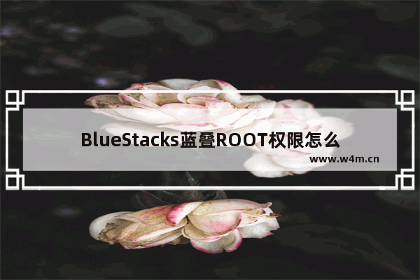 BlueStacks蓝叠ROOT权限怎么获得