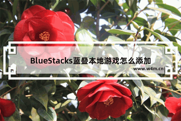 BlueStacks蓝叠本地游戏怎么添加