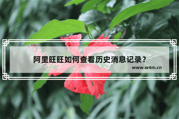 阿里旺旺如何查看历史消息记录？