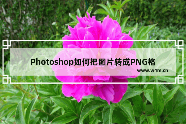 Photoshop如何把图片转成PNG格式？