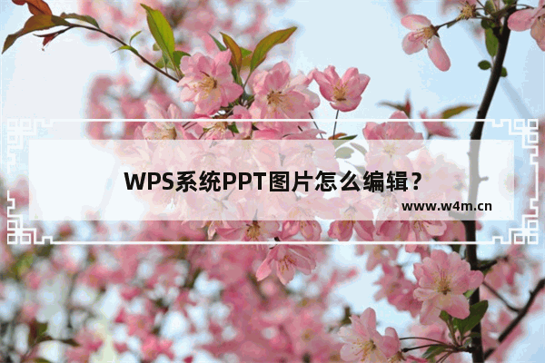 WPS系统PPT图片怎么编辑？