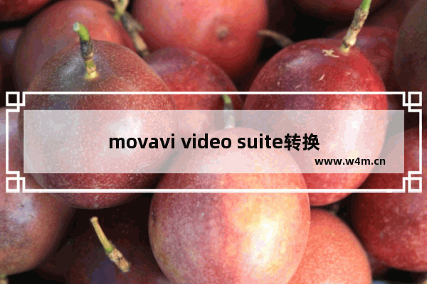 movavi video suite转换视频格式的方法