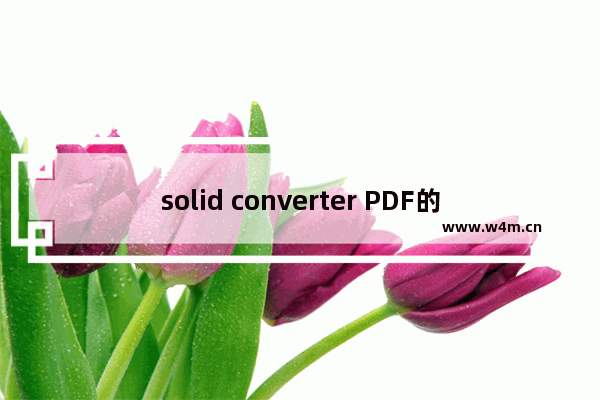 solid converter PDF的使用方法