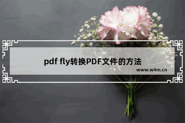 pdf fly转换PDF文件的方法