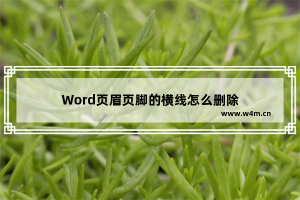 Word页眉页脚的横线怎么删除