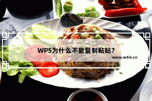 WPS为什么不能复制粘贴？