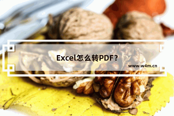 Excel怎么转PDF？