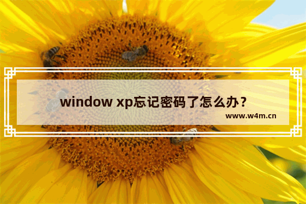 window xp忘记密码了怎么办？