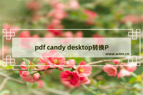 pdf candy desktop转换PDF为Word文件的方法