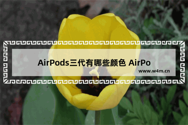 AirPods三代有哪些颜色 AirPods3颜色全览