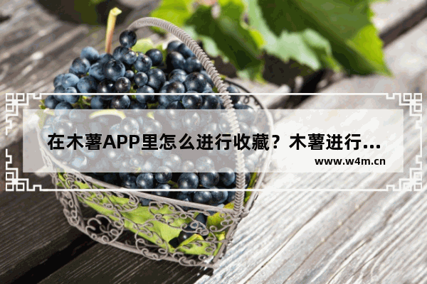 在木薯APP里怎么进行收藏？木薯进行收藏的方法讲解