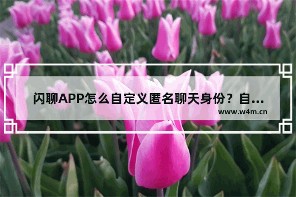 闪聊APP怎么自定义匿名聊天身份？自定义匿名聊天身份的步骤一览