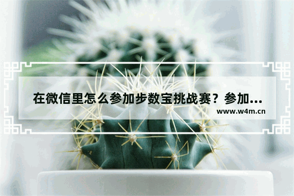 在微信里怎么参加步数宝挑战赛？参加步数宝挑战赛的方法说明