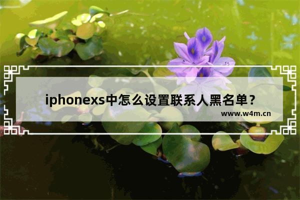 iphonexs中怎么设置联系人黑名单？联系人黑名单设置方法分享