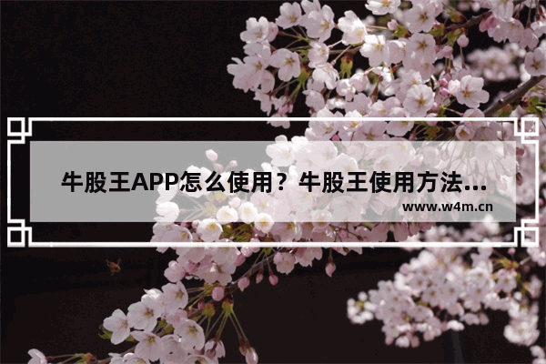 牛股王APP怎么使用？牛股王使用方法介绍