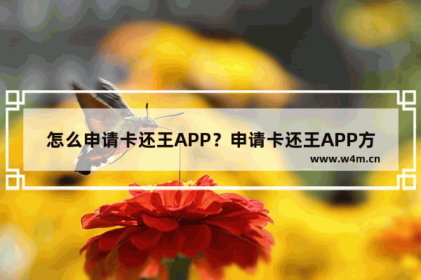 怎么申请卡还王APP？申请卡还王APP方法说明