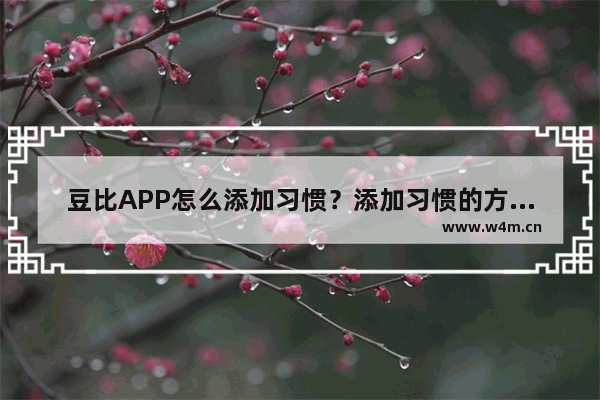 豆比APP怎么添加习惯？添加习惯的方法讲解