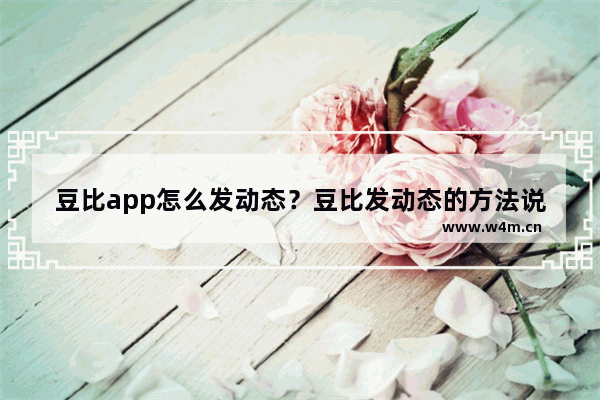 豆比app怎么发动态？豆比发动态的方法说明