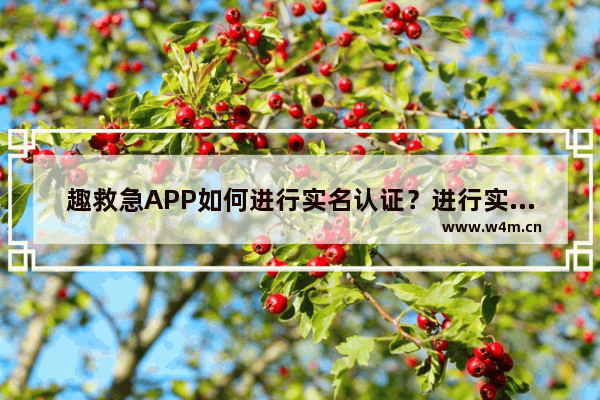 趣救急APP如何进行实名认证？进行实名认证的步骤一览