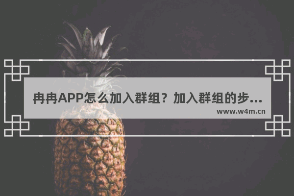 冉冉APP怎么加入群组？加入群组的步骤一览