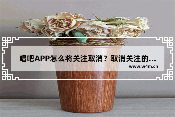 唱吧APP怎么将关注取消？取消关注的方法说明