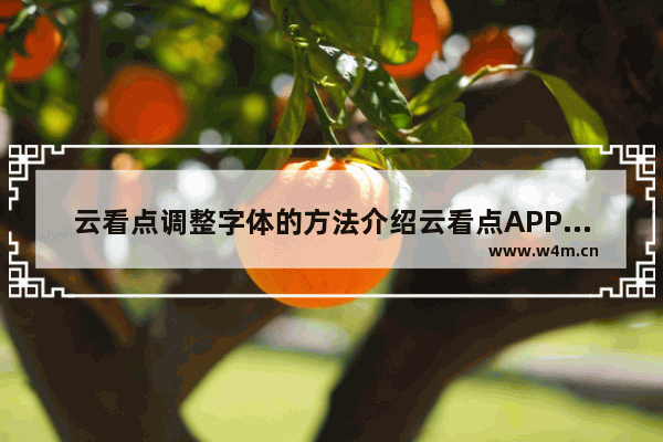 云看点调整字体的方法介绍云看点APP怎么调整字体？