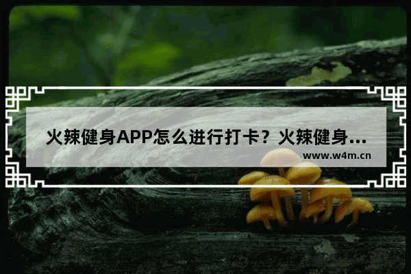 火辣健身APP怎么进行打卡？火辣健身打卡方法讲解