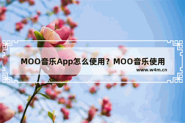 MOO音乐App怎么使用？MOO音乐使用方法介绍