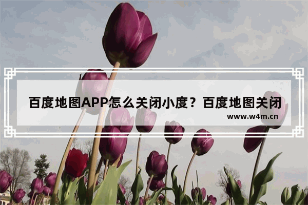 百度地图APP怎么关闭小度？百度地图关闭小度的方法讲解