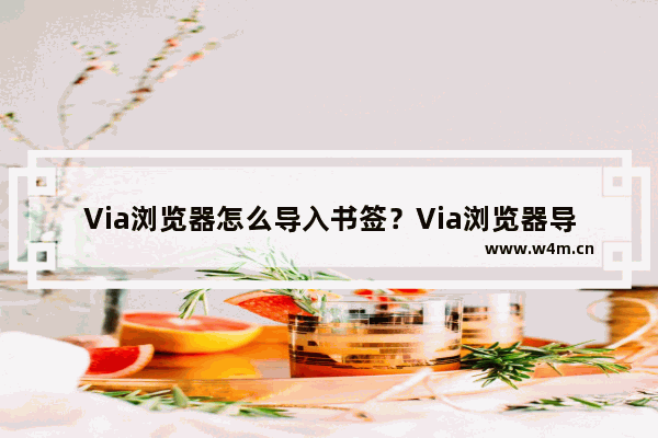 Via浏览器怎么导入书签？Via浏览器导入书签的步骤分享