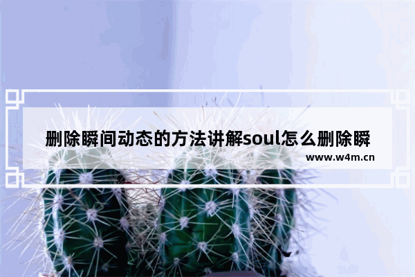 删除瞬间动态的方法讲解soul怎么删除瞬间动态？